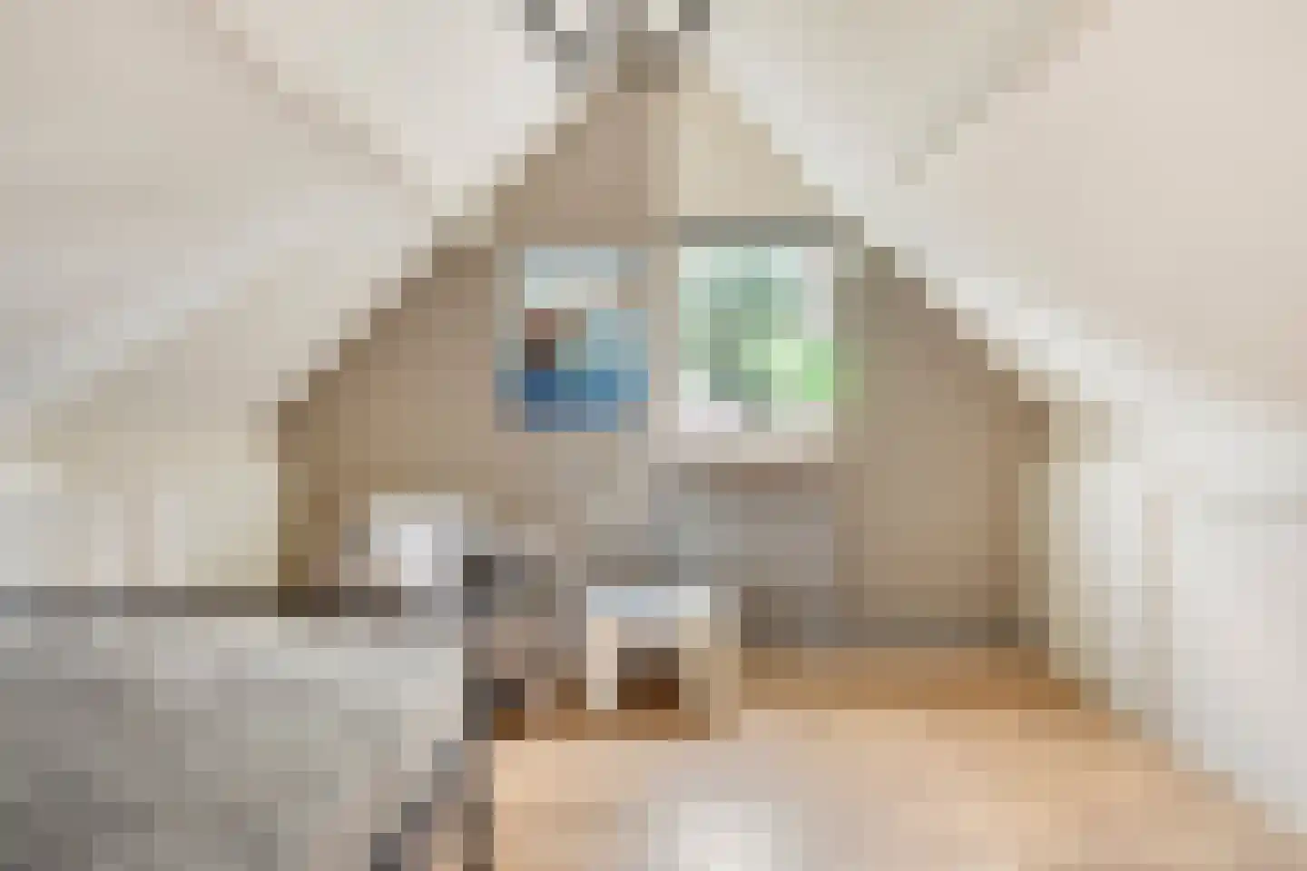 Bereklauw 85 Oldenzaal thumbnail 27