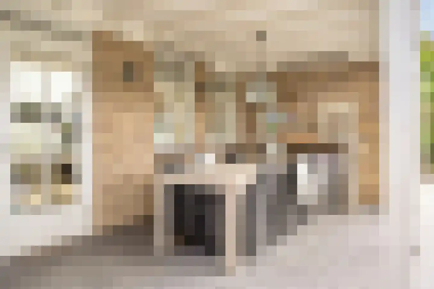 Bereklauw 85 Oldenzaal thumbnail 31