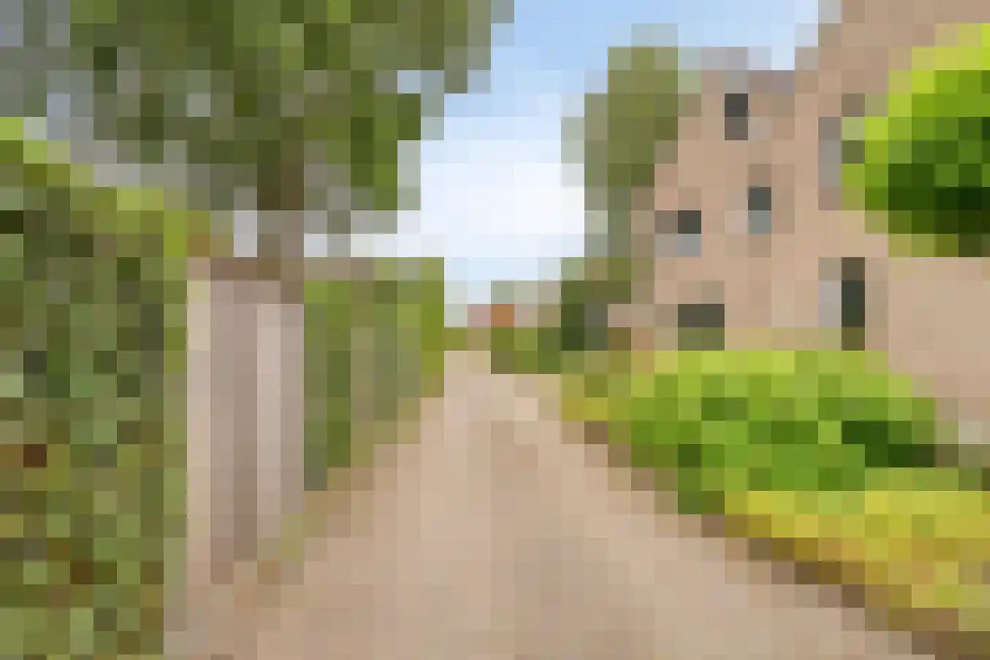 Bereklauw 85 Oldenzaal thumbnail 36