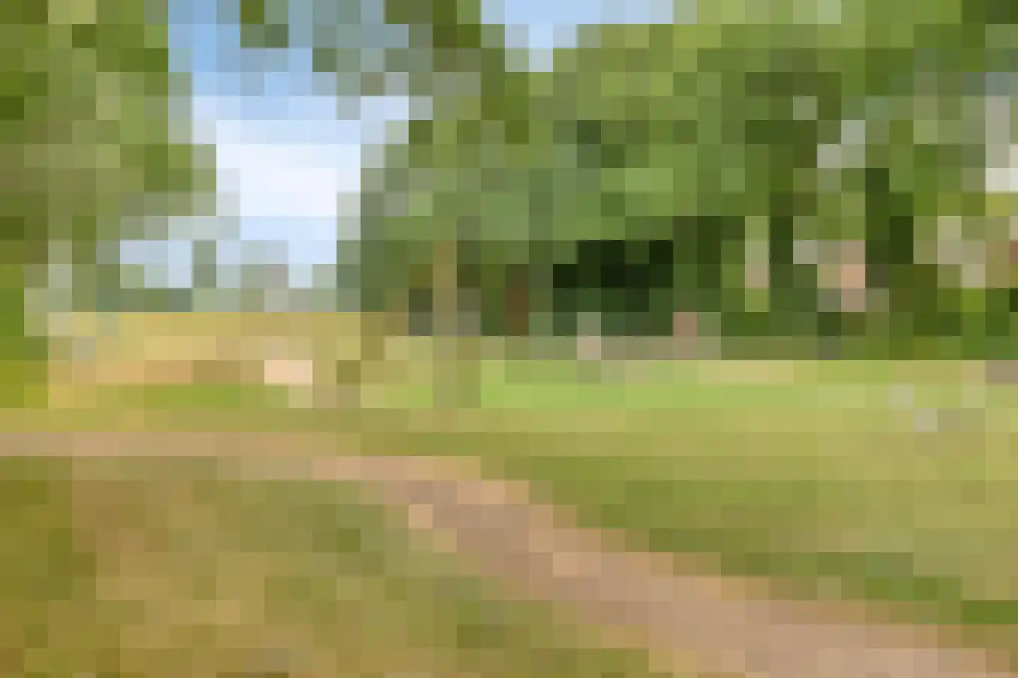 Bereklauw 85 Oldenzaal thumbnail 37