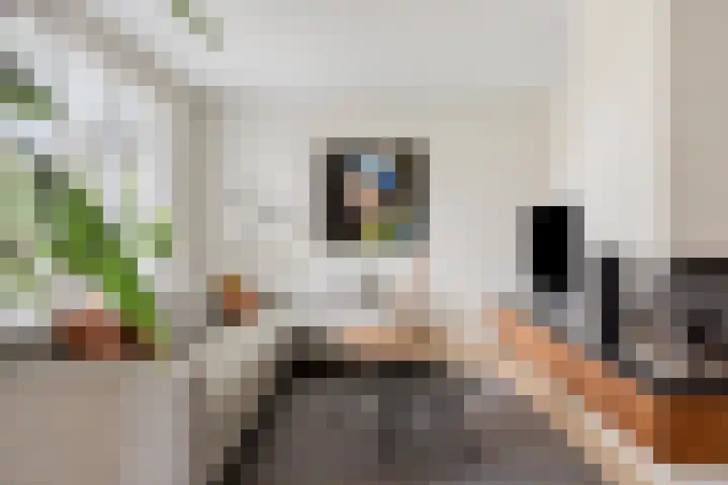 Bereklauw 85 Oldenzaal thumbnail 5