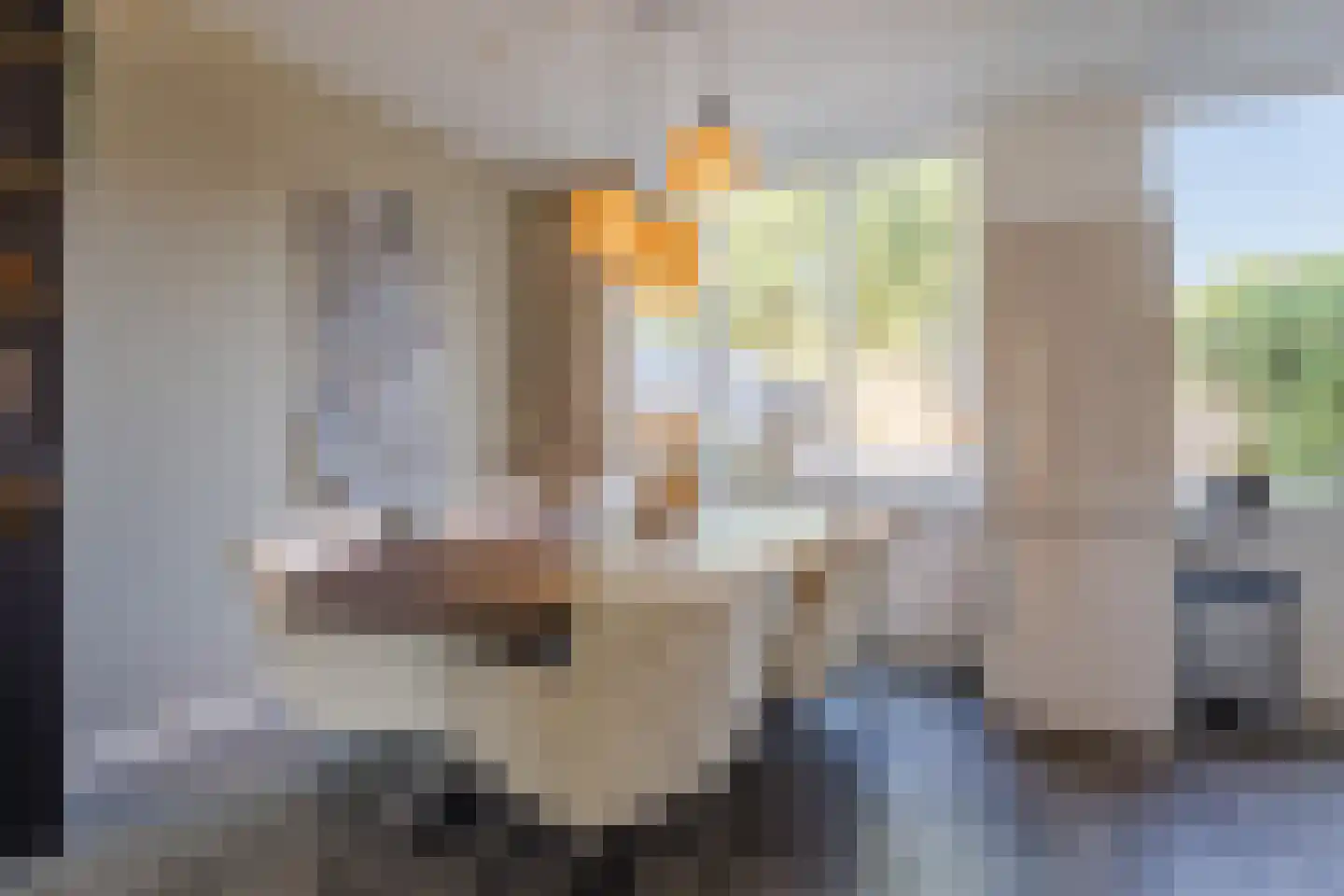 Bereklauw 88 Cuijk thumbnail 10