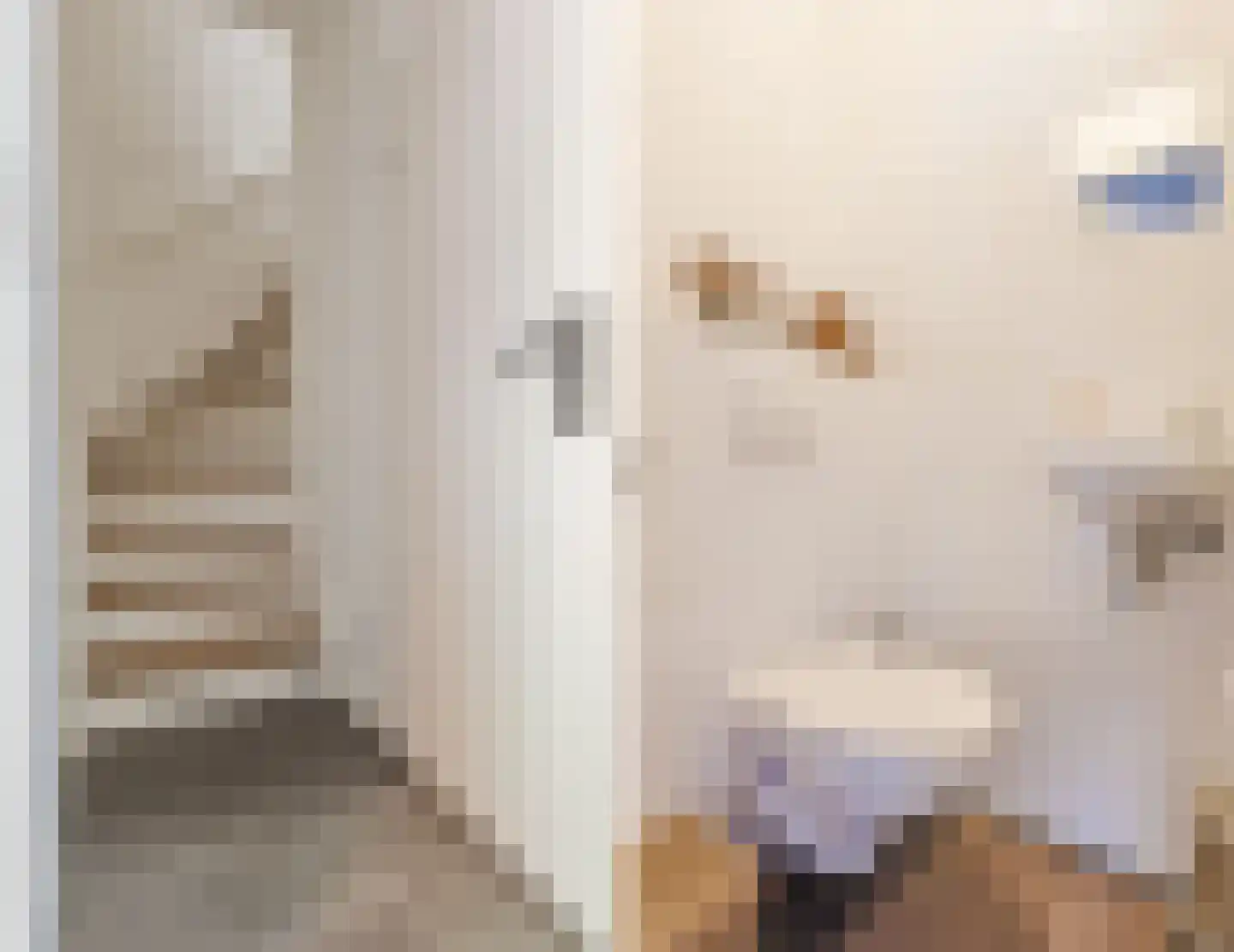 Bereklauw 88 Cuijk thumbnail 13