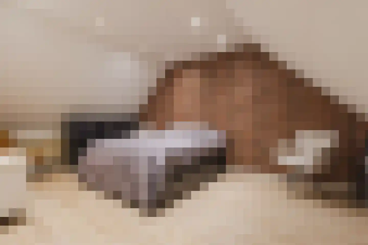 Bereklauw 88 Cuijk thumbnail 23