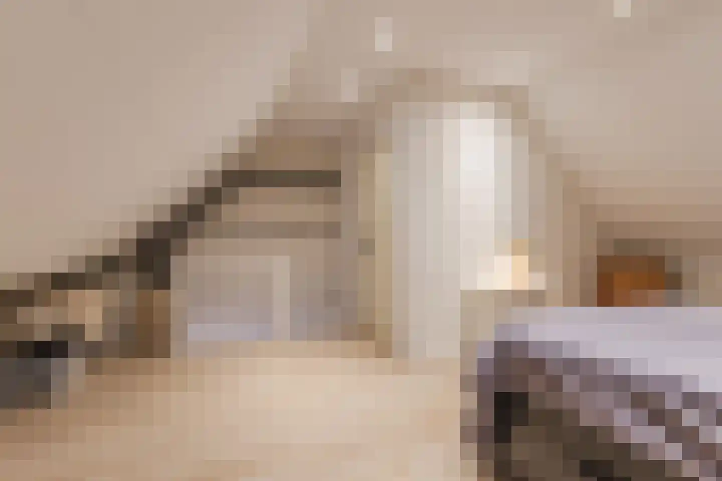 Bereklauw 88 Cuijk thumbnail 24