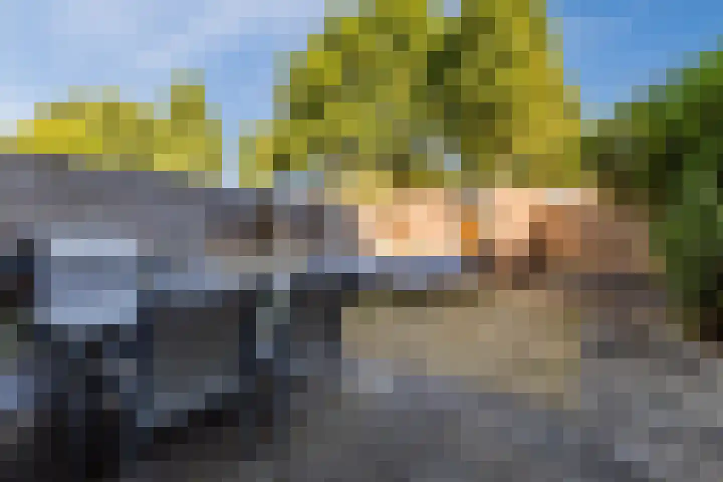 Bereklauw 88 Cuijk thumbnail 25