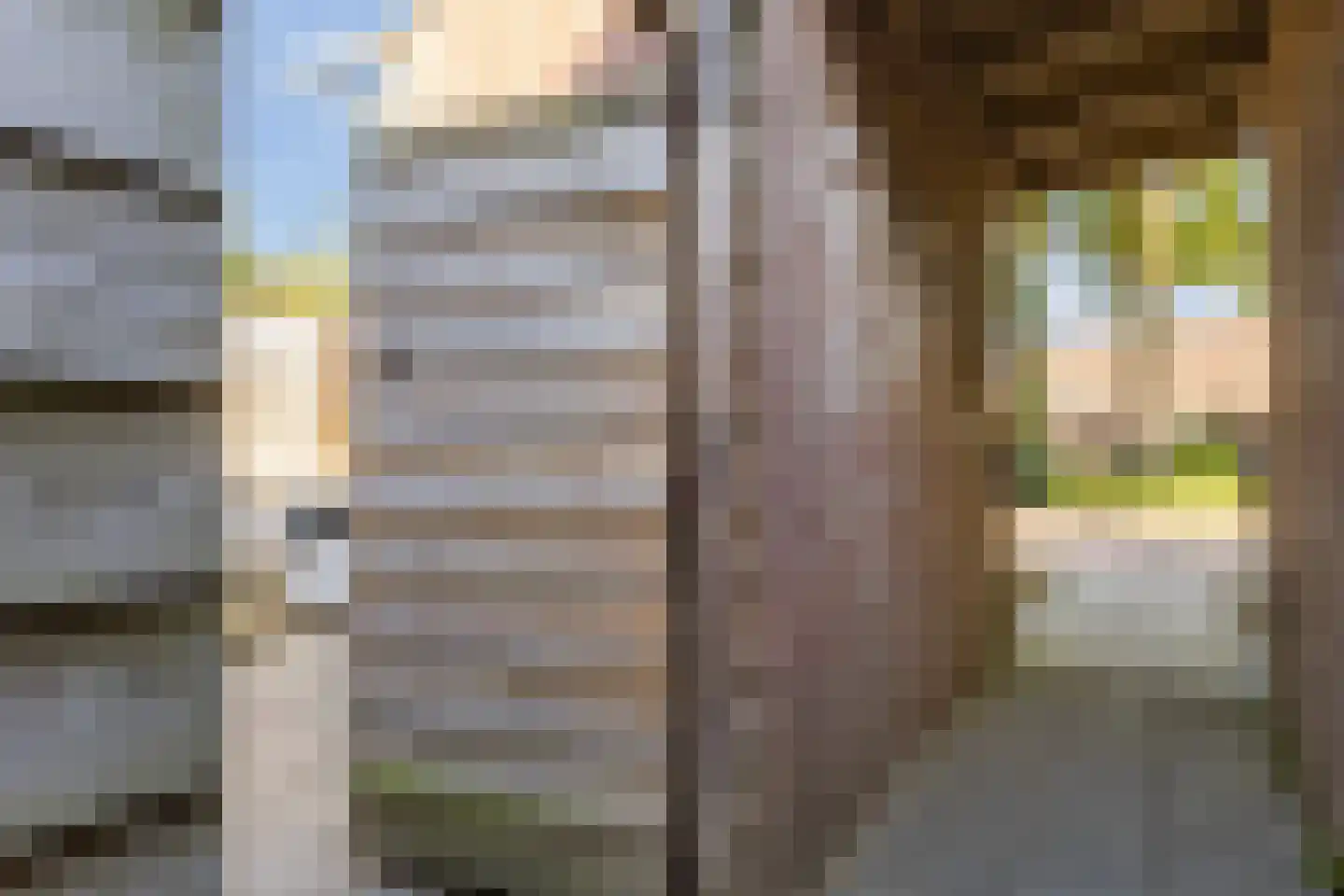 Bereklauw 88 Cuijk thumbnail 27