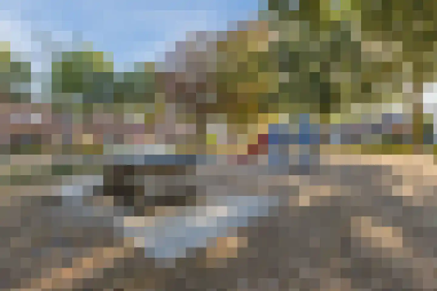 Bereklauw 88 Cuijk thumbnail 29