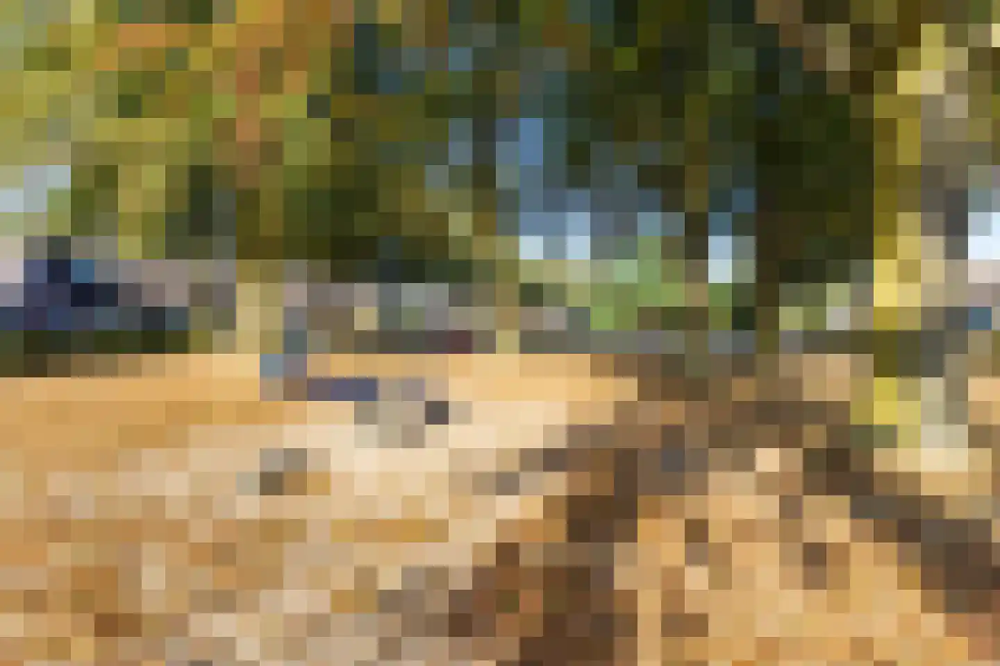Bereklauw 88 Cuijk thumbnail 30