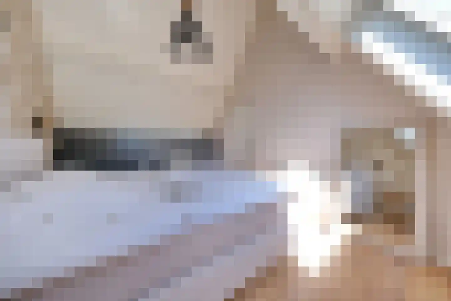 Bereklauw 95 Bennekom thumbnail 14