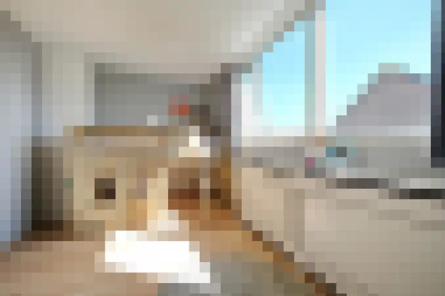 Bereklauw 95 Bennekom thumbnail 16