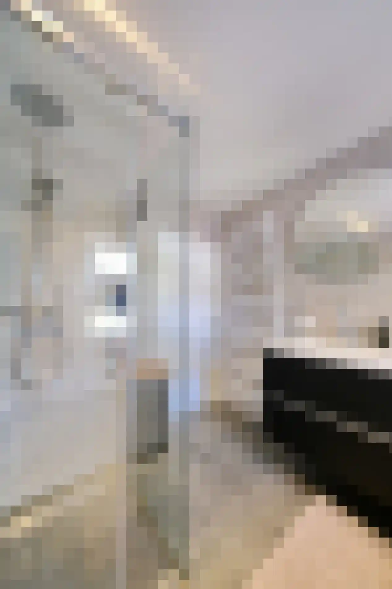 Bereklauw 95 Bennekom thumbnail 20