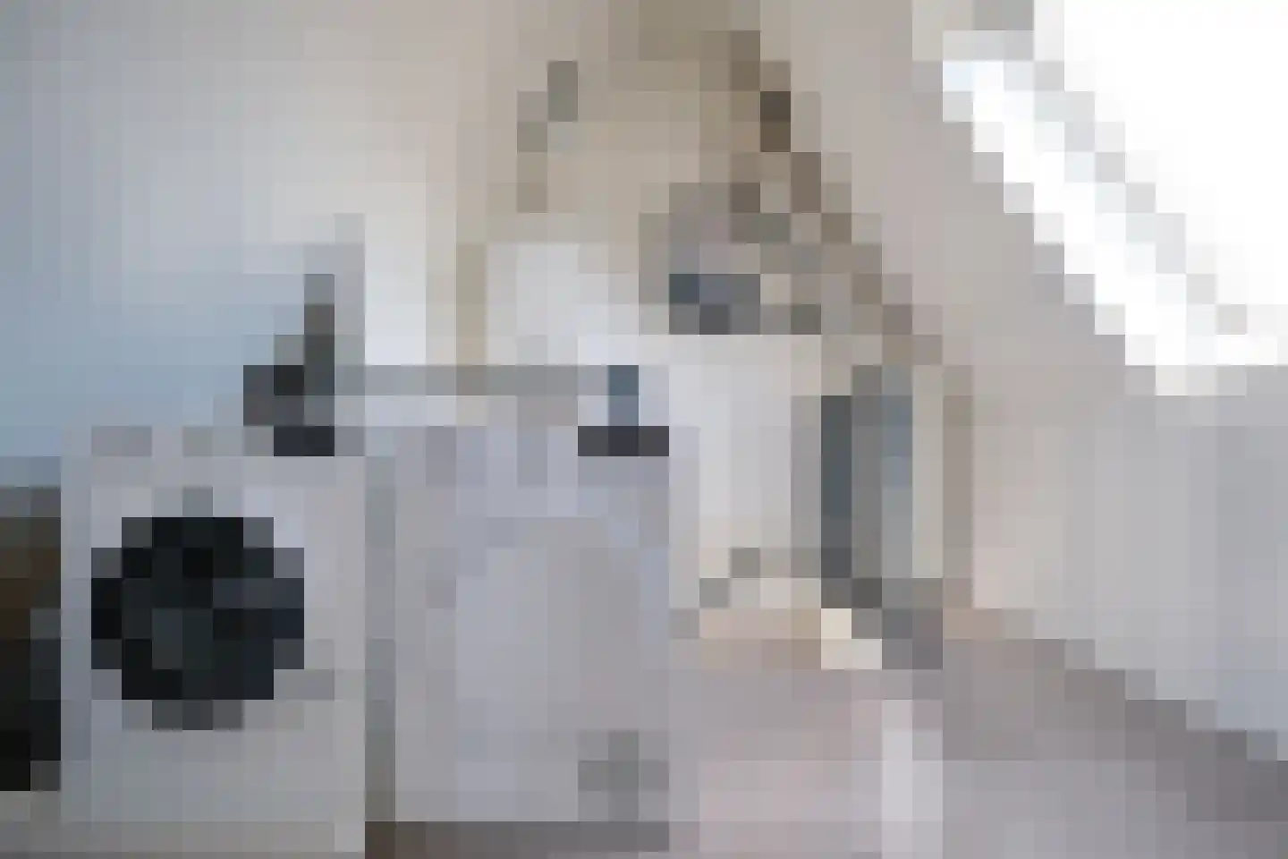 Bereklauw 95 Bennekom thumbnail 24