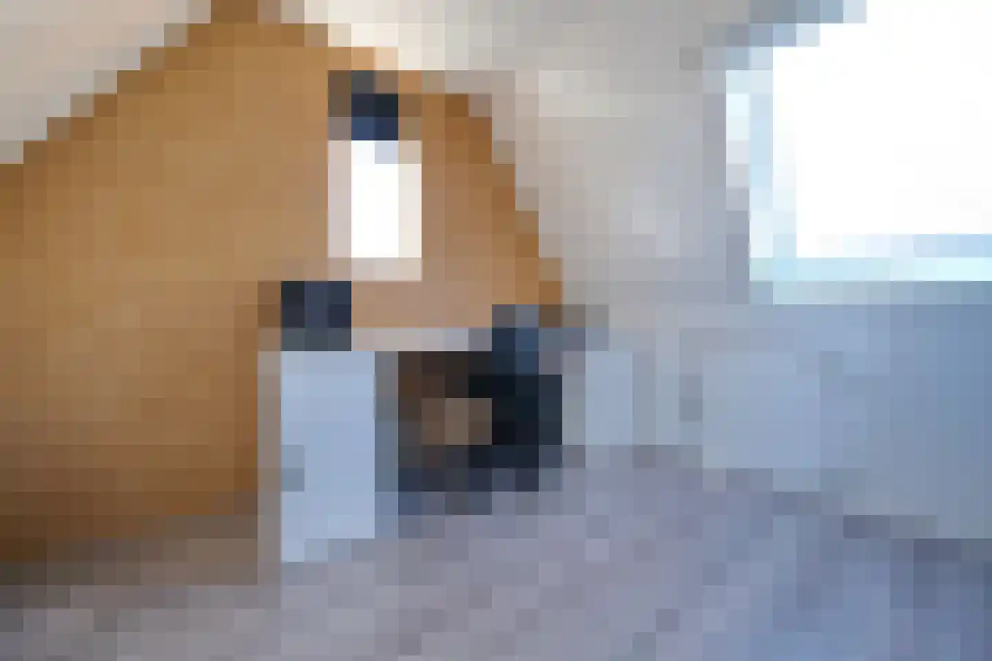Bereklauw 95 Bennekom thumbnail 25