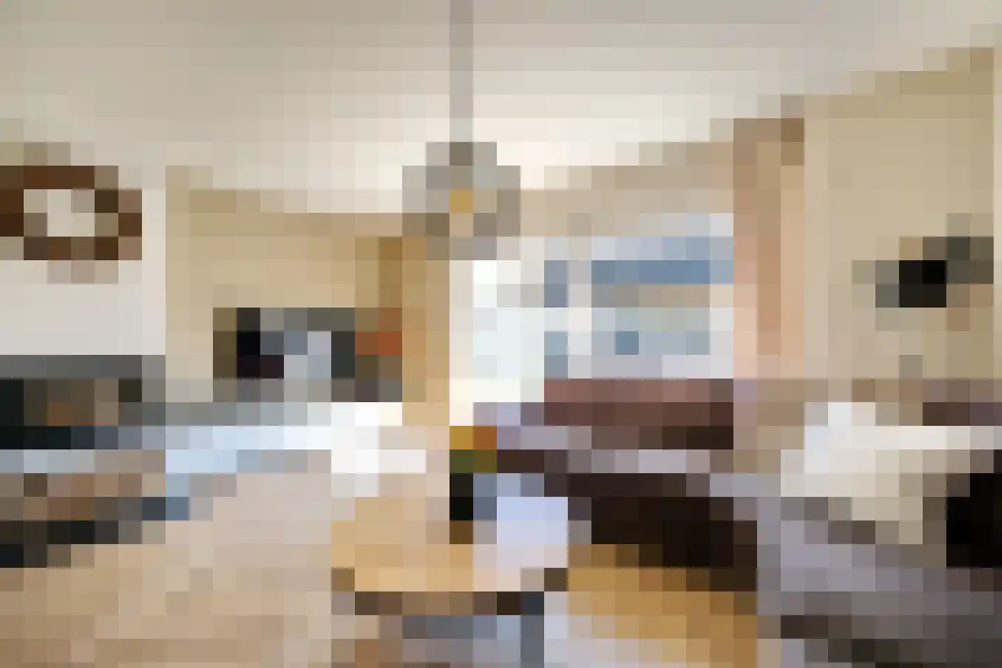 Bereklauw 95 Bennekom thumbnail 4