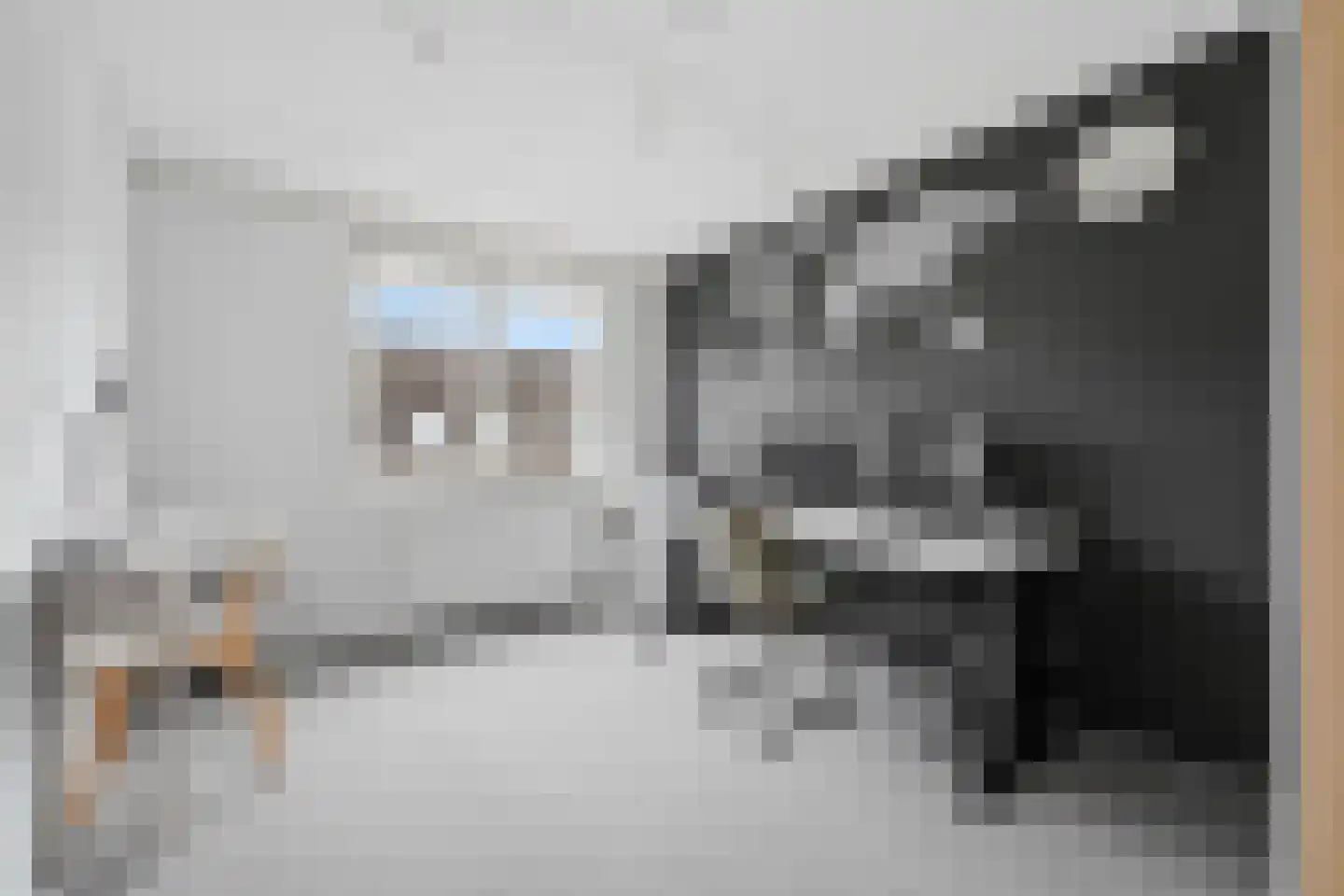 Bereklauwerf 1 Arnemuiden thumbnail 20