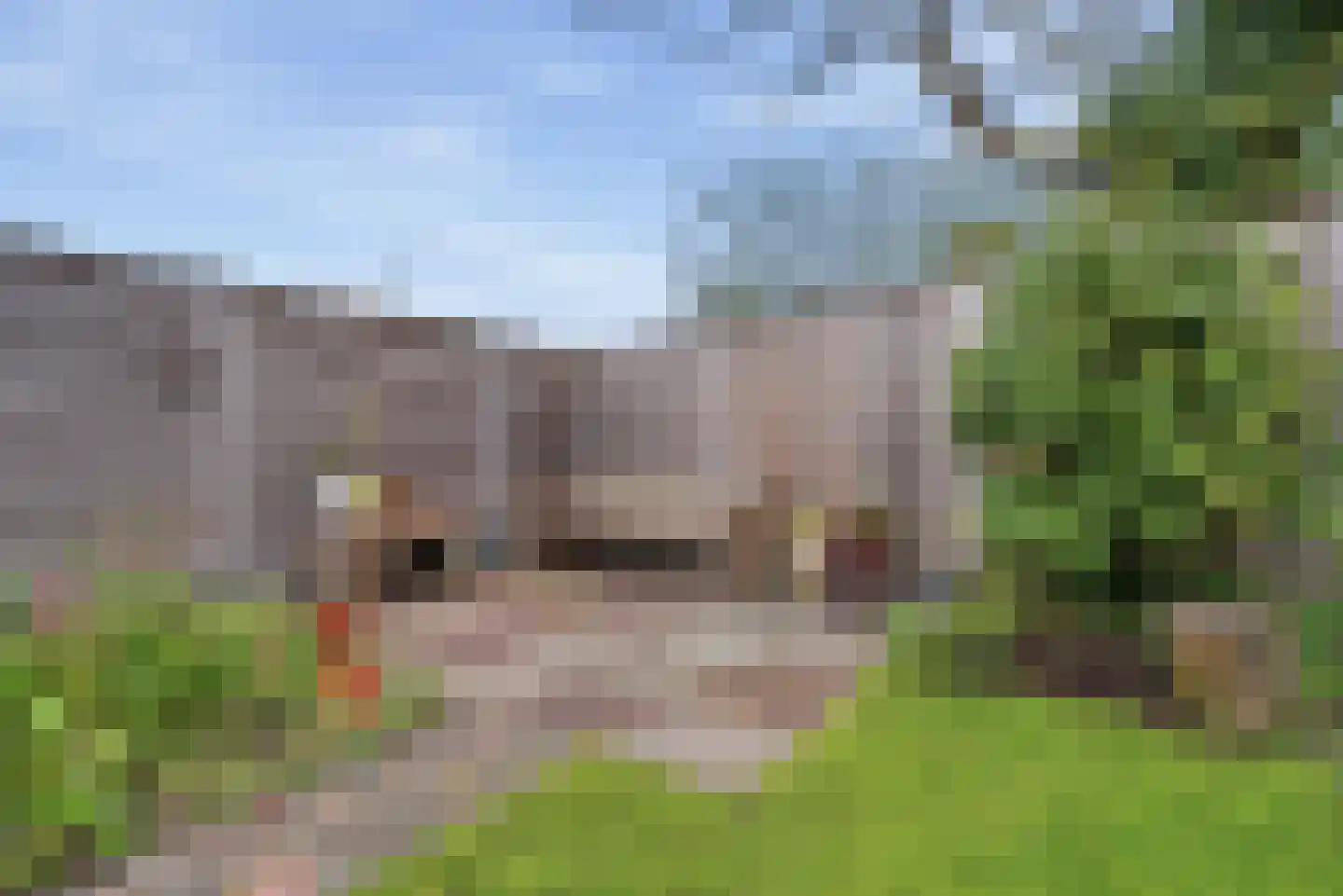 Bereklauwerf 1 Arnemuiden thumbnail 30