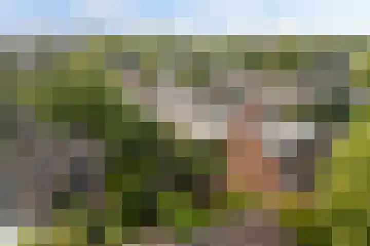 Bereklauwkreek 22 Leiderdorp thumbnail 10