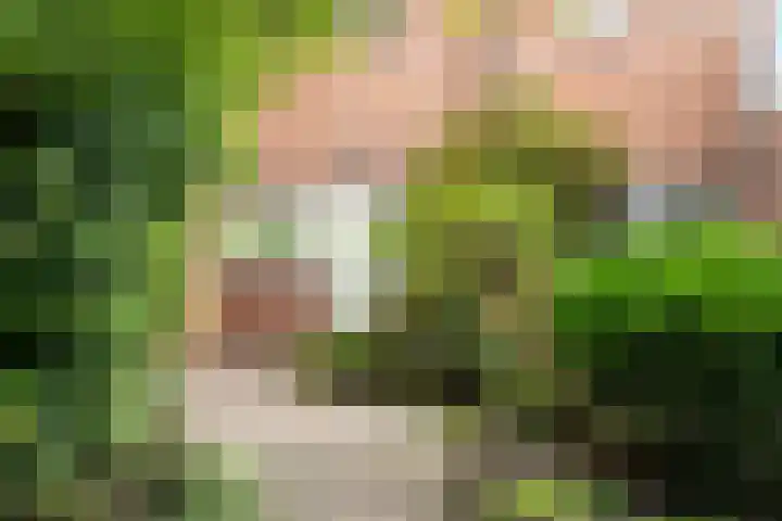 Bereklauwkreek 22 Leiderdorp thumbnail 12
