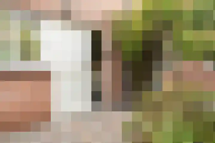 Bereklauwkreek 22 Leiderdorp thumbnail 14