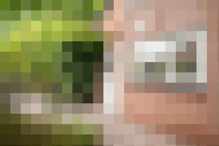 Bereklauwkreek 22 Leiderdorp thumbnail 15