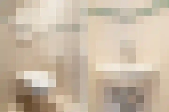 Bereklauwkreek 22 Leiderdorp thumbnail 18