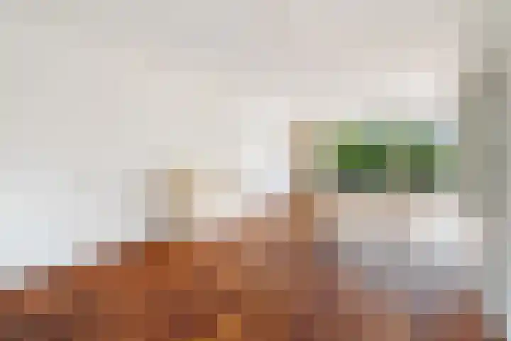 Bereklauwkreek 22 Leiderdorp thumbnail 20