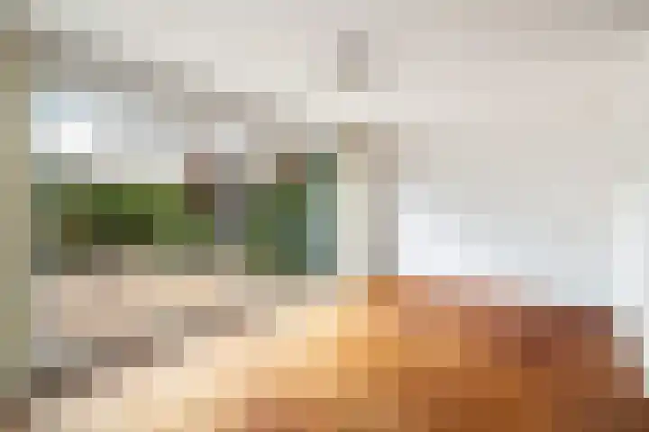 Bereklauwkreek 22 Leiderdorp thumbnail 23