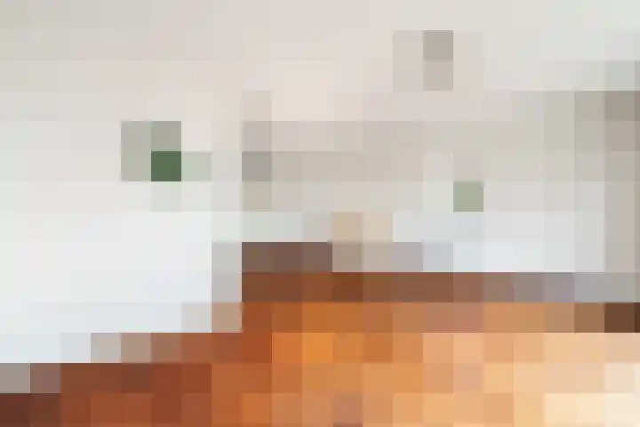 Bereklauwkreek 22 Leiderdorp thumbnail 24