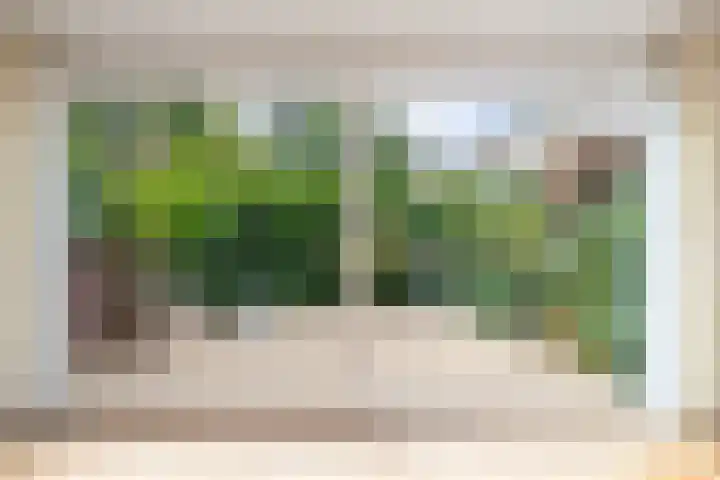 Bereklauwkreek 22 Leiderdorp thumbnail 26