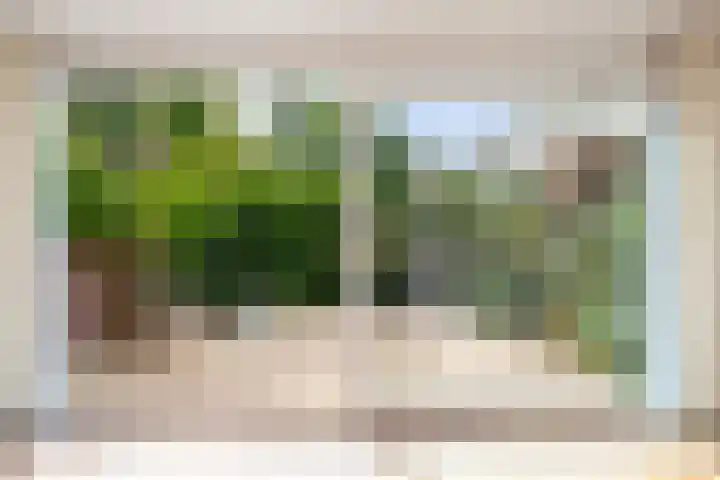 Bereklauwkreek 22 Leiderdorp thumbnail 27