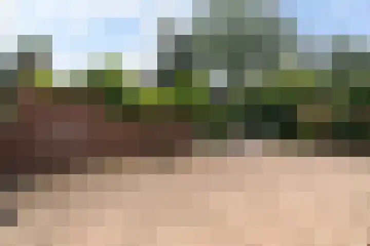Bereklauwkreek 22 Leiderdorp thumbnail 28