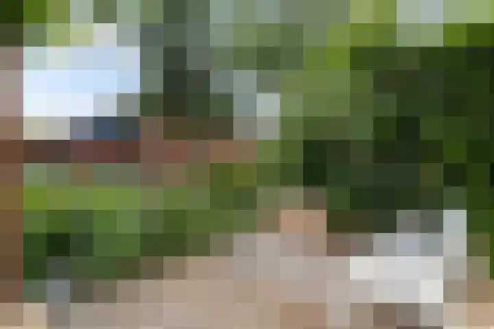 Bereklauwkreek 22 Leiderdorp thumbnail 31