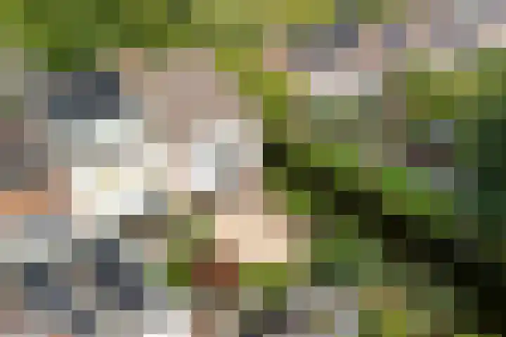 Bereklauwkreek 22 Leiderdorp thumbnail 32
