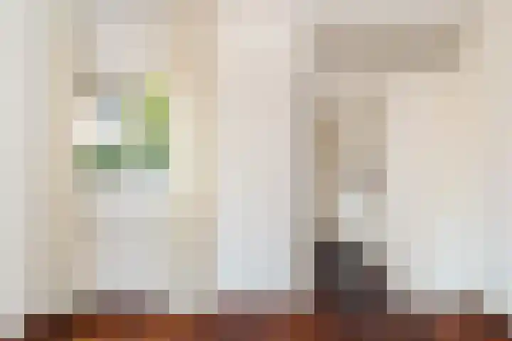 Bereklauwkreek 22 Leiderdorp thumbnail 34