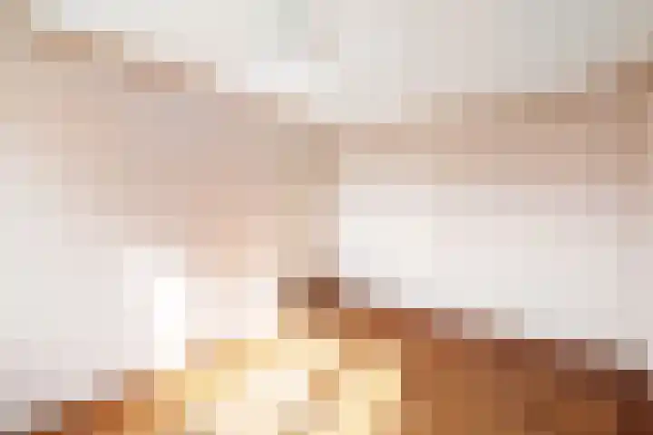 Bereklauwkreek 22 Leiderdorp thumbnail 44