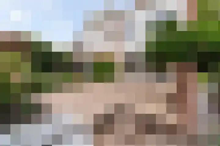 Bereklauwkreek 22 Leiderdorp thumbnail 5