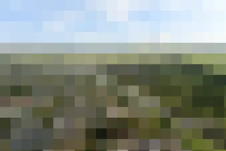 Bereklauwkreek 22 Leiderdorp thumbnail 59