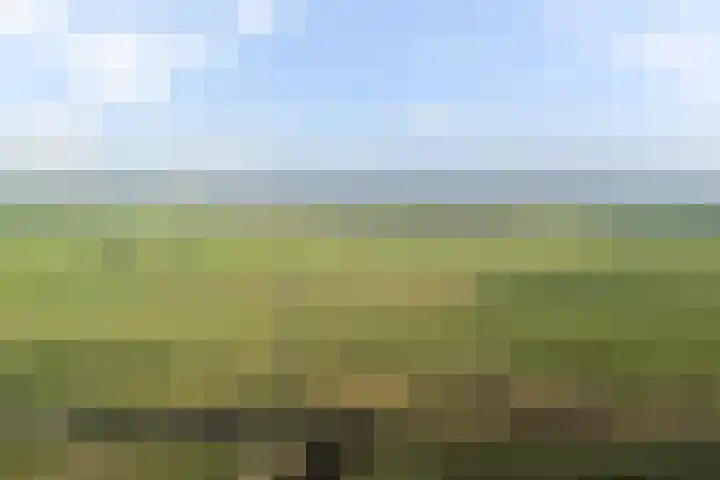Bereklauwkreek 22 Leiderdorp thumbnail 60