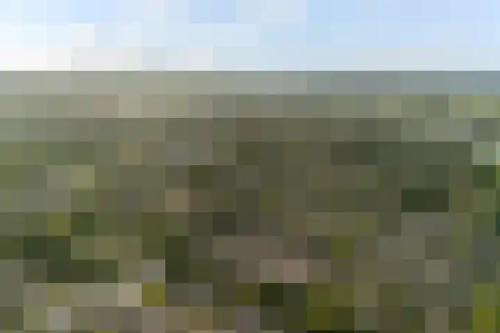Bereklauwkreek 22 Leiderdorp thumbnail 61