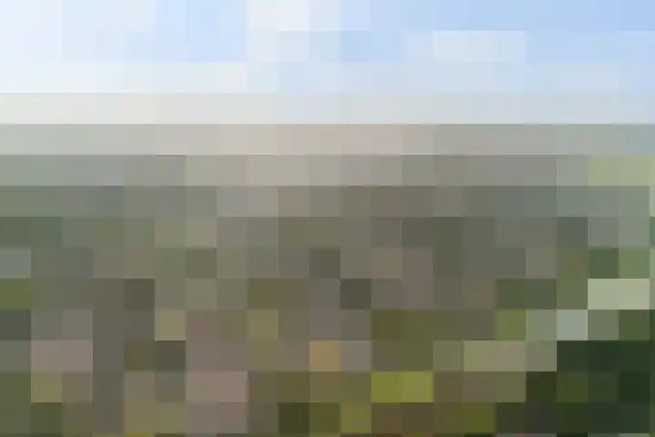 Bereklauwkreek 22 Leiderdorp thumbnail 62