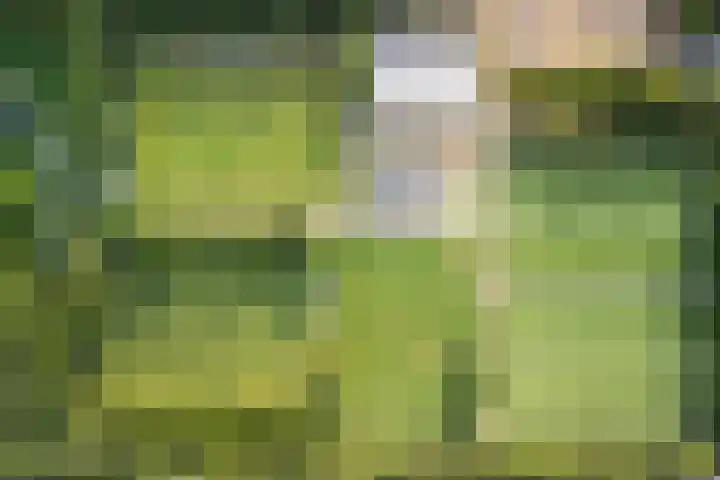 Bereklauwkreek 22 Leiderdorp thumbnail 63