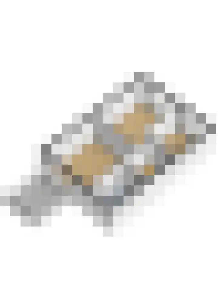 Bereklauwkreek 22 Leiderdorp thumbnail 69