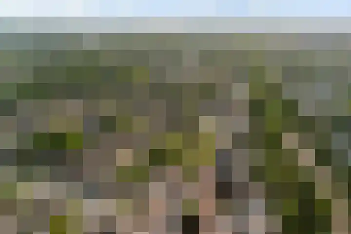 Bereklauwkreek 22 Leiderdorp thumbnail 7