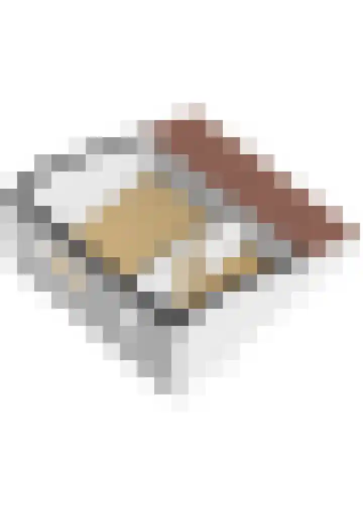 Bereklauwkreek 22 Leiderdorp thumbnail 70