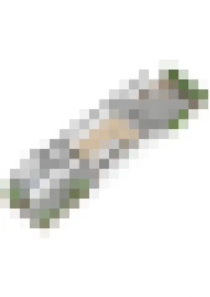 Bereklauwkreek 22 Leiderdorp thumbnail 71