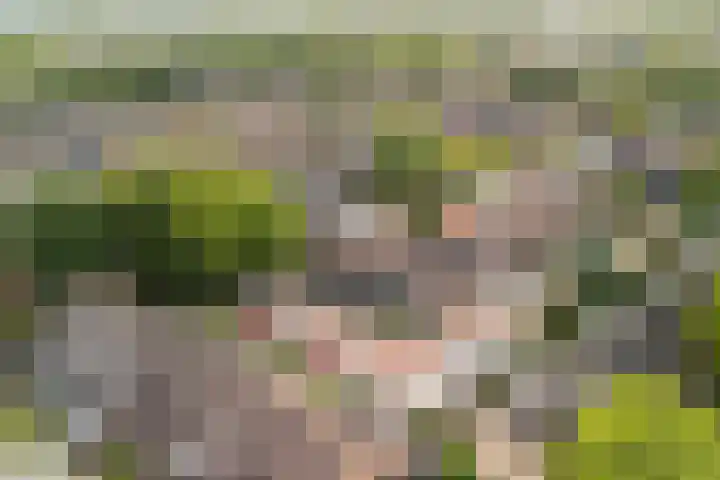 Bereklauwkreek 22 Leiderdorp thumbnail 8