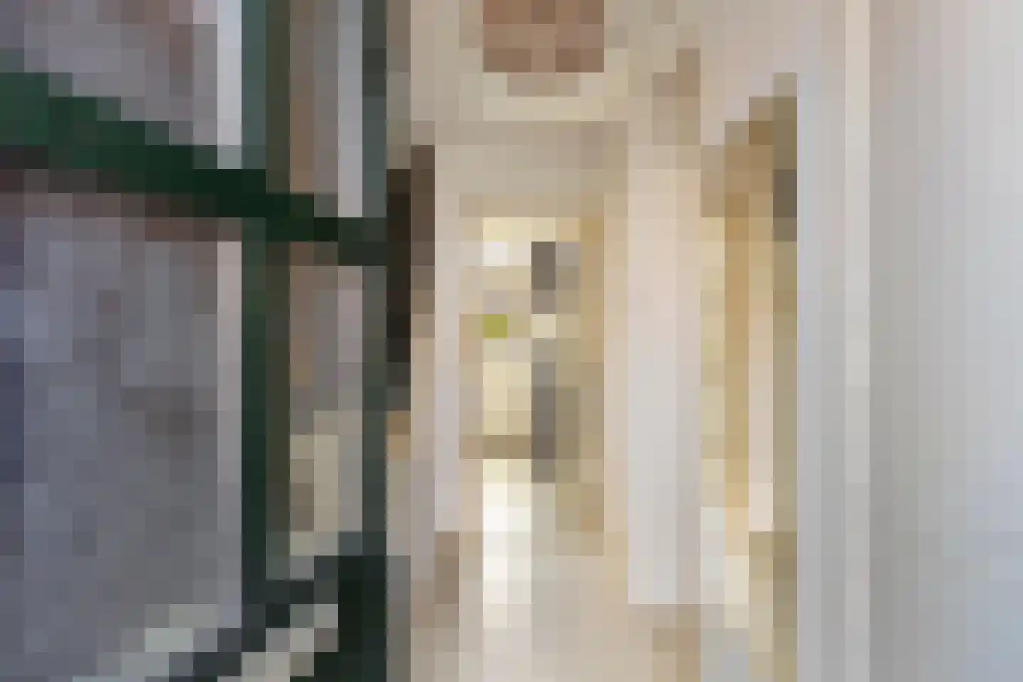 Bereklauwstraat 1 Arnhem thumbnail 5