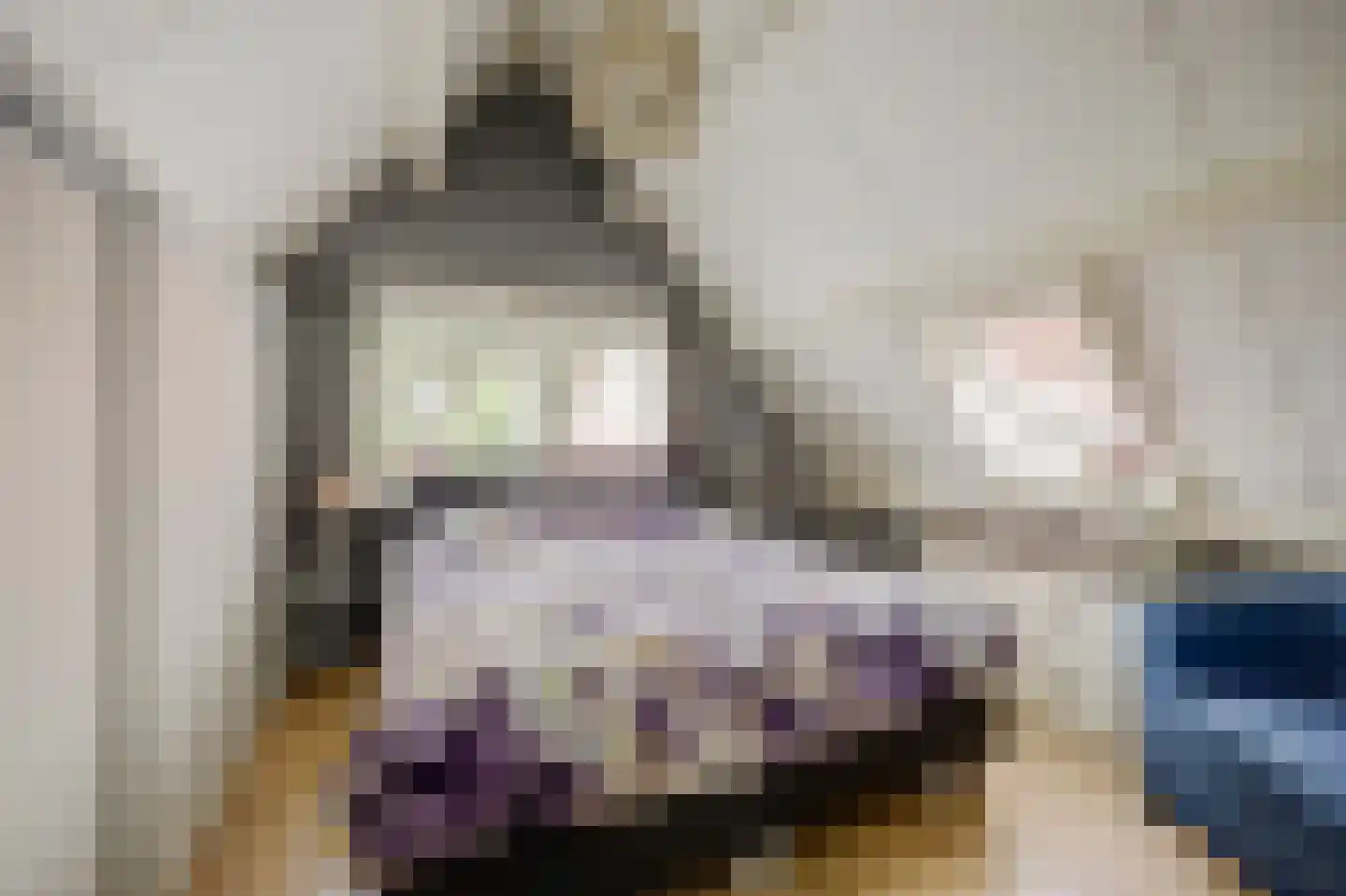 Berenbosweg 28 Nunspeet thumbnail 25