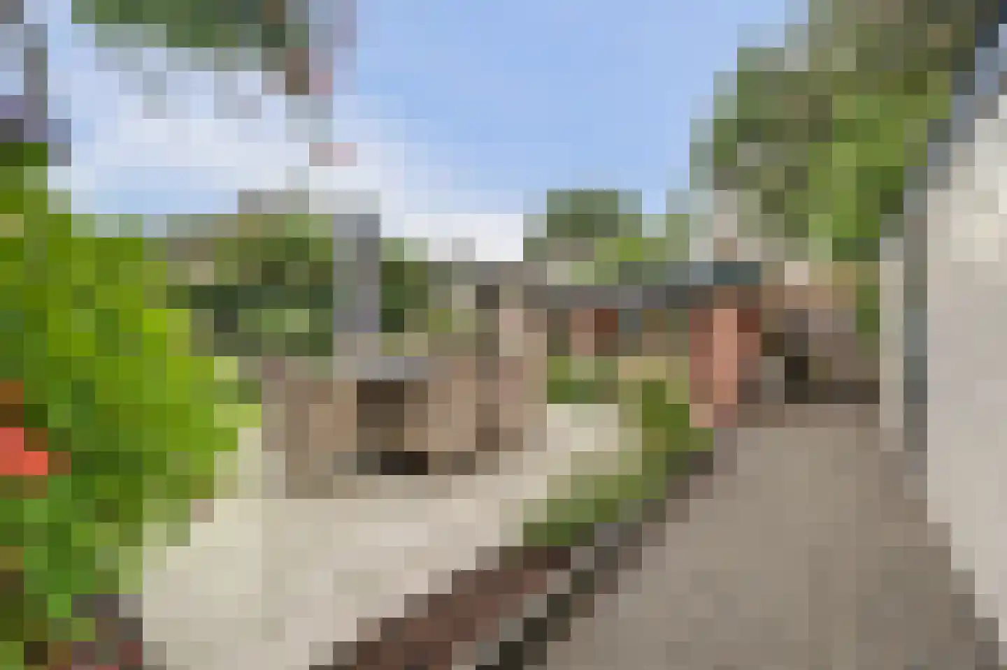 Berenbosweg 28 Nunspeet thumbnail 38